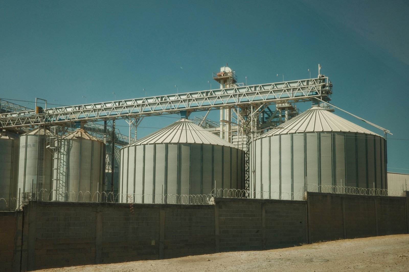 tomas-salazar-UOj3gorb-h0-unsplash